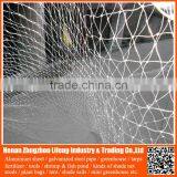New Arrival Orchard Grape HDPE Anti Bird Netting , pe Plastic Knotted Mesh Bird Netting thumbnail-6