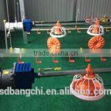 High Quality Automatic Chain Feeding System for Breeder