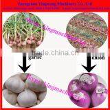 Fresh Garlic Stem Cutter thumbnail-1
