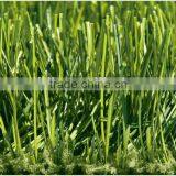 Good Sale China Artificial Grass thumbnail-1