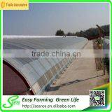 Anti Snow Solar Greenhouse for Sale thumbnail-3