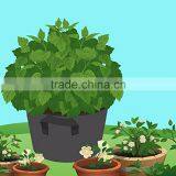 Eco-Friendly Black Breathable Felt Fabric Plant Pot Bag thumbnail-1