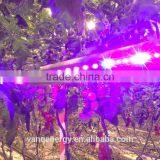 150w LED Grow Light Bar BEAMNOVA Full Spectrum for Hydroponic Garden Growing thumbnail-1