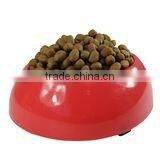 Dog Biscuit Dry Pet Food Dog Food thumbnail-6