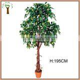 Plasticated Lemon Tree in 195cm High for Residence Decoration thumbnail-1