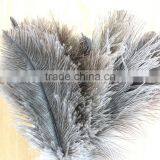 Ostrich Feather Natural Feather Cleaning Duster thumbnail-4