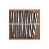 Common Nail thumbnail-1