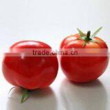 2 Wholsale Plastic Artificial Tomatoes Fruits Fake Fruits Faux Tomato thumbnail-1