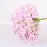 Single Stem Hydrangea Flowers Export Fresh Cut Hydrangea Banquets For Wedding Decoration thumbnail-2