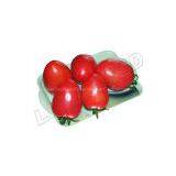 TYLCV Resistance Tomato Seeds INT-11-074 thumbnail-1