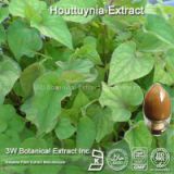 Houttuynia Extract