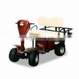 Hot Selling 2 Seater Small Golf Buggy thumbnail-4