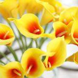 LD-306 Smaller Output Multicolor Machine/PU Injection Machine for Toy Artificial Flowers and Pressure Ball thumbnail-2