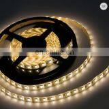 Relight 220V SMD 5050 RGB Led Strip 60LED/ M 1 Cut 50m/roll With Controller thumbnail-3