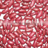 Organic kidney bean