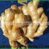 Fresh Ginger for China/shandong Fresh Ginger, Air Dry Ginger thumbnail-2