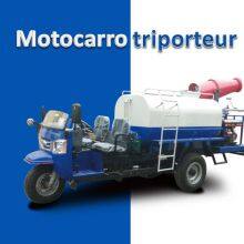 Diesel Engine Tricycle Weichai Lovol thumbnail-4