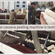 2026 New Arrival Cassava Processing Machine in Nigerian Warehouse Cassava Peeler for Garri/Flour Making Eplucheur De Manioc thumbnail-1