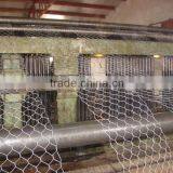 Hexagonal Wire Netting(China Factory)