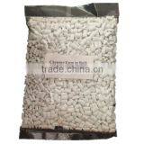 Bulk Chewing Gum in Bag