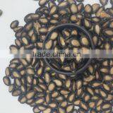 Black Watermelon Hybrid Seeds thumbnail-3