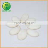 High Quality Chinese Organic Pumpkin Seeds