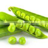 Hot Sell Canned Green Peas thumbnail-6