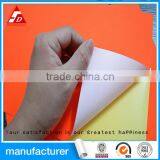 Manufacture Price Self Adhesive Fluorescent Sticker Labelpaper