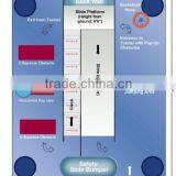 Dora the Explorer Bouncer House thumbnail-5