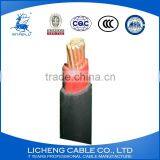 Single Core 10mm2 Copper Conductor XLPE Insulated PVC Sheathed Power Cable