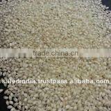 White, Round Grain Rice thumbnail-1