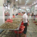 Xiamen Hanfeng Co., Ltd. company overview - view 1 thumbnail