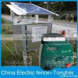 Electric Fencing For Chilken thumbnail-6
