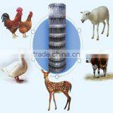 ISO9001 Professional Manufacturer High Zin Coated Galvanized Prairie Fence Net