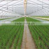 New Type Of Tunnel Greenhouse For Vegetables thumbnail-1