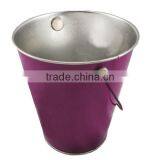 Purple Painted Tin Buckets