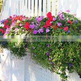 Garden Pots Planters Window and Belcony Green thumbnail-1