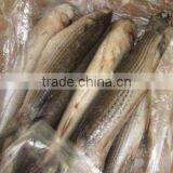 Frozen Atlantic Whole Mullet in China on Sale thumbnail-1