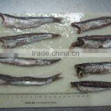 Salted Anchovy Fillet for Sale thumbnail-2