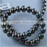 AAA 12-14mm Black Round Tahitian Pearl Strand thumbnail-1