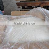 Frozen Illex Agentina Squid Fillet