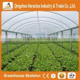 Heracles Trade Assurance Low Cost Agricultural Tunnel Greenhouses thumbnail-3