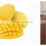 Mango Flavoured Fruits Drink Powder thumbnail-1