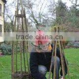 Gardening Willow Obelisk thumbnail-4