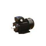 ELECTRIC MOTOR thumbnail-1