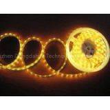 High Brightness 5050 SMD RGB Flexible LED Strip Lights 30D 10mm DC12V IP68 for Building