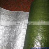 Green Silver PE Waterproof Tarpaulin Awning