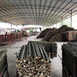 Nvhuan Bamboo company overview - view 3 thumbnail