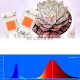 New Technology AC220V 50W Driverless Solderless Full Spectrum Led COB Chip For Grow Light DIY thumbnail-6