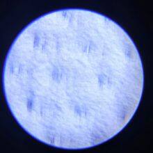 High-Quality Waterproof Breathable Membrane for Automotive Applications - Durable, Efficient Moisture Management thumbnail-5